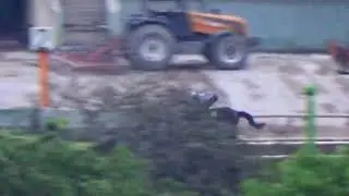 Sayayin Oscar 10Ene26