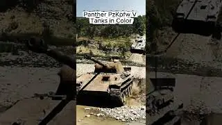 Steel Predators: Panther PzKpfw V Tanks in Color 🎨#WW2 #Tanks #Panther #PzKpfwV #HistoryInColor