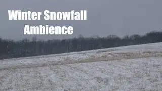 Cold Landscape, Falling Snow