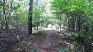 ASMR Hiking Binaural Nature Trail with Crunchy Dirt, Sand, and Gravel Sounds