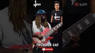 Соло на бас-гитаре Thundercat 𝄢 #thundercat #basssolo