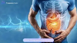 OPTIMAL DIGESTION: Stomach, Pancreas & Intestinal Health | Digestive Comfort & Nutrient Absorption