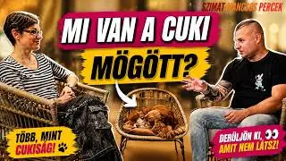 A cuki mögött: miért fél vagy agresszív a kutyád? Kötetlen beszélgetés a viselkedésszakértővel #08