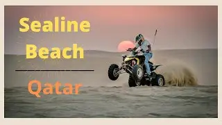 Sealine Beach Resort in Qatar , what activities to do in Celine Beach ?