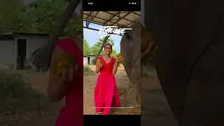 The greedy bride