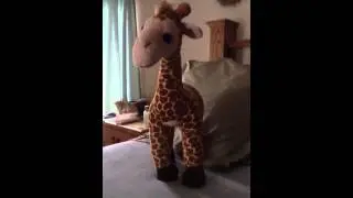 Meet Larry The Giraffe!!