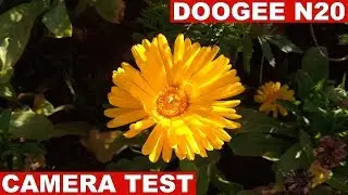 Doogee N20 Camera Test