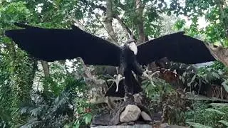 Mount Purro Nature Reserve / Calawis, Antipolo City