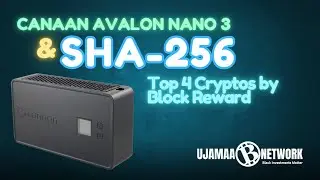 Top 4 SHA-256 Coins to Mine in 2025 with the Canaan Avalon Nano 3 | Ujamaa Network