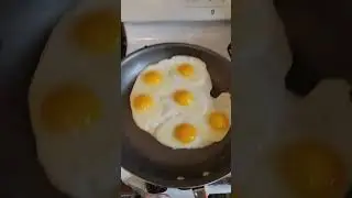 Master the seven egg flip trick #viral