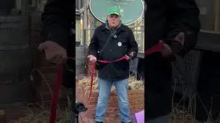 Saving Social Security - Democracy Dogs - Rob Strickler for Congress 2026