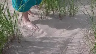 Sandtracks