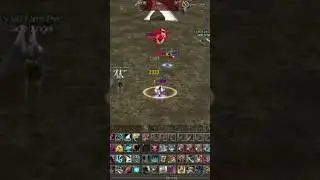 L2 jade Zona PVP #gameplay #gaming #games #lineage2 #interlude