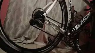 Music to Cyclist's Ears 🎧 | Dogma 60.1 Freehub Sound Check