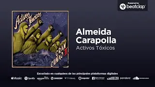 Activos T&oacute;xicos - Almeida Carapolla