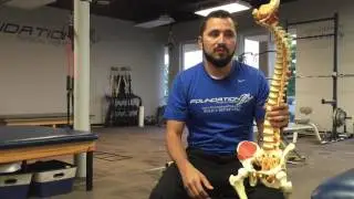 How Nerves and Nerve Pain Works