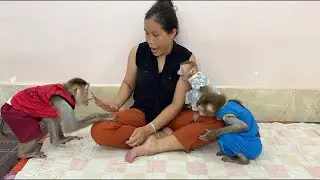 OMG!! Mom Raising Hand Up To Stop & Calm Brother Sovan Not To Chase Sister Jula Away From Mom Hug,