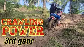 CRAWLING POWER - DIESELDART BETA 250RR