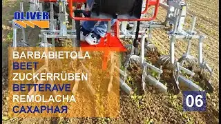 ROTOSARK SARCHIATRICE WEEDING MACHINE BINEUSE ROW CROP HACKMASCHINE BINADORA DESYERBADORA BIO