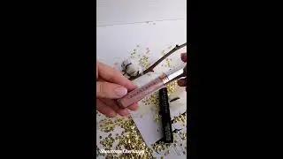 Жидкая матовая помада Anastasia beverly Hills Liquid Lipstick - Pure Hollywood