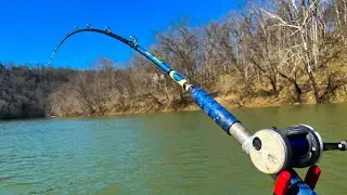 Anchor Fishing A Remote River For December Catfish! (catch & cook)