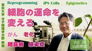 無邪気な好奇心に支えられた研究が、やがて社会の役に立つ：　細胞の運命を変える技術で命を守る　山田　泰広　東京大学大学院医学系研究科　分子病理学分野　教授