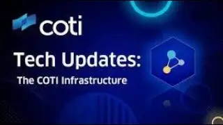 COTI Network |  Payment infrastructure | Moneybags Alert