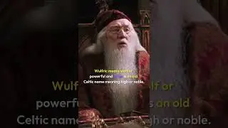 Dumbledore's DEEPER MEANING