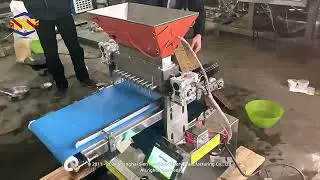 sien food 50kg automatic table type candy depositor machine
