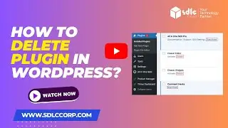 How to delete Plugin in WordPress?