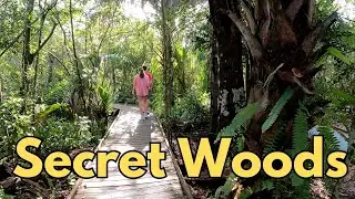 Exploring Secret Woods Nature Center: Top Hiking Spot in Fort Lauderdale