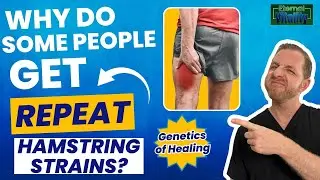 Hamstring strains. The genetics of healing. Sports injury expert Dr. Jesse Morse, Podcast #20