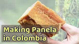 Panela Production in Inz&aacute;, Colombia