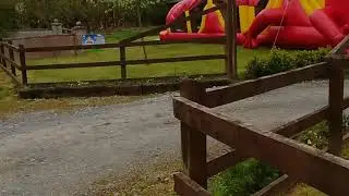 Bouncy Castle Laois 53 ft Red lizard obstacle course