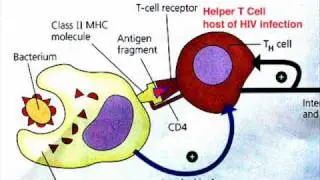 Pathogen Infect Me Bio Project