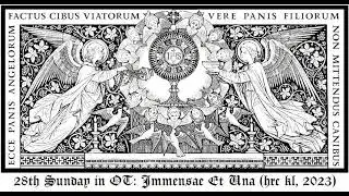 2023 OT 28S Immensae Et Una Trinitas (hrckl smc)