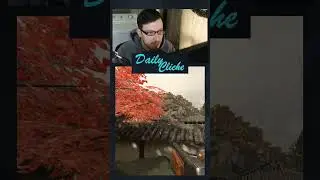 Need Long Shots for Your Vanguard Mastery Camo? CHECK THIS OUT!