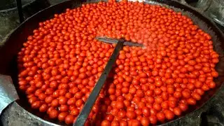 Femous Bengali Sweets Pantua meking in Factory /बंगाल की ऐसी मिठाई जिसका पूरा कोलकाता दीवाना हैं
