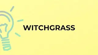 What is the meaning of the word WITCHGRASS?