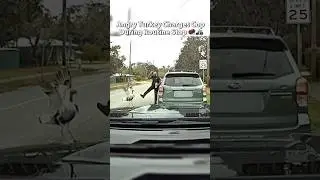 Turkey Attacks Cop 😂🦃🚔