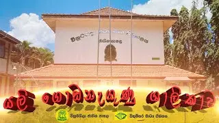 'යලි ගොඩනැගුණු ශාලිකාව'   වික්‍රමශිලා ජාතික පාසල