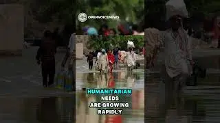 Human Appeal Delivers Emergency Aid to Pakistan Flood Victims