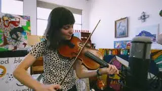Rain of Animals - Pinecone Point