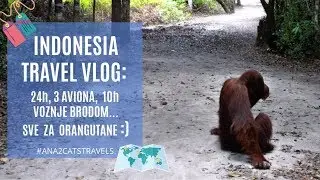 Indonesia travel: orangutani, 10h voznje brodom i 3 aviona - Kalimantan :)