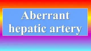 Aberrant hepatic artery