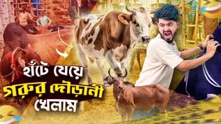 Я играл в коровьи бега, пока шёл 🐄 | КОРОВЬЕ БЕШЕНИЕ | КОРОВЬЯ ХИЖИНА ГАБТОЛИ | Мехеди Хассан