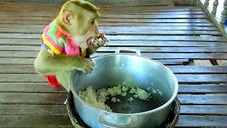 Cry In Heart SokYaa Hungry Much Until Eat Himself, Poor