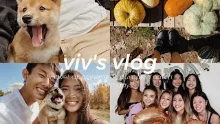viv's vlog #11 | puppy's first time at vet, pumpkin patch, & celebrating birthdays!