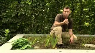 de tuindokter aflevering 11 VIJVER ONDERHOUDEN