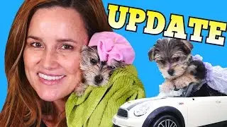 Zumi and Amy Jo DCTC Channel Update - American Girl Doll, Toy Fair, Play Fair